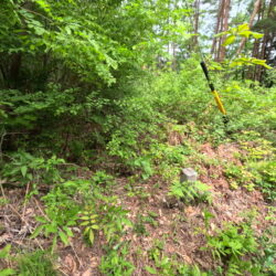 ＜穂高有明＞古厩地区 売地