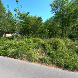 ＜穂高有明＞忍ケ丘別荘地 広い売地