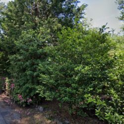 ＜松風園＞売地 温泉引込可（下水道利用できます）