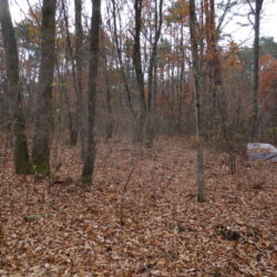 ＜忍ケ丘＞売地 321坪