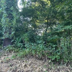 ＜穂高有明＞宮城 売地 半額に価格改定