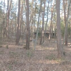 ＜忍ケ丘別荘地＞売地 奥まったところです 大幅価格値下げ