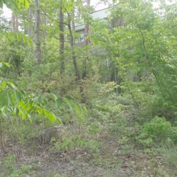 ＜さわらびの里＞温泉付き売地