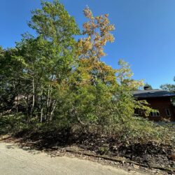 ＜白馬＞みそら野別荘地 売地